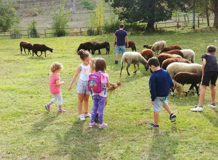 Azienda Agrituristica Cascina La Botta Dego Экстерьер фото